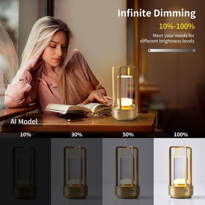 Portable Metal Table Lamp, Cordless Table Lamp with Touch Sensor